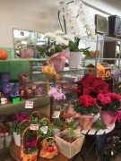 東京都江戸川区の花屋　プチ・ブーケ